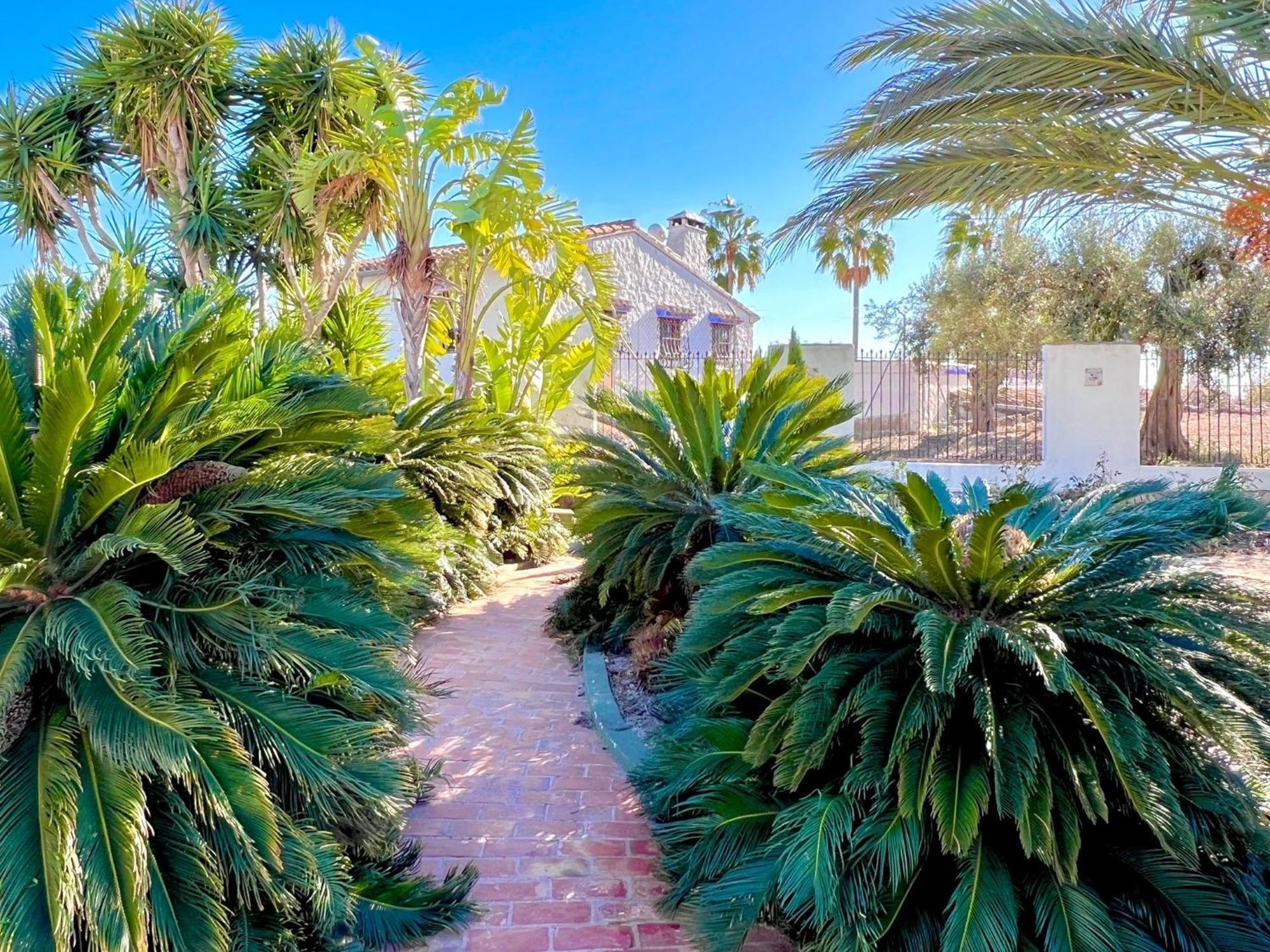 Finca Los Caballeros - Adults Only Беніса Екстер'єр фото